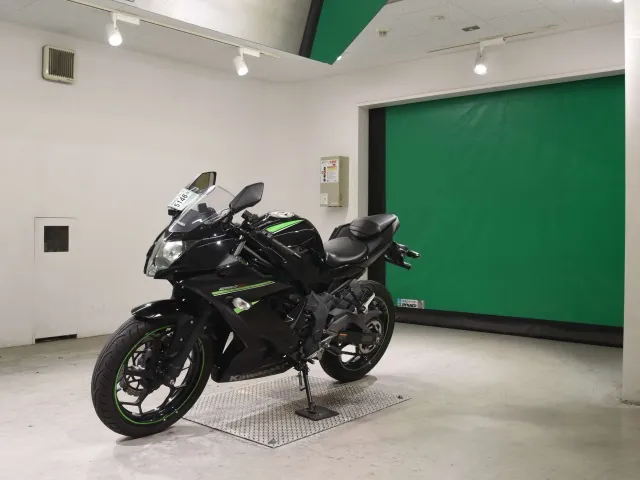 Kawasaki Ninja 250SL, чёрный, фото 4