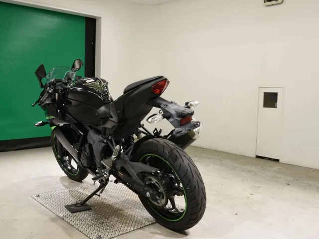 Kawasaki Ninja 250SL, чёрный, фото 6