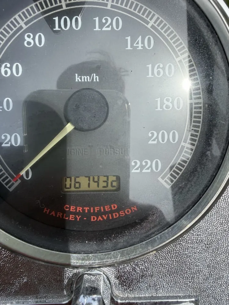 Harley-Davidson FLSTC 2000, фото 2