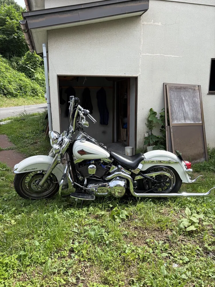 Harley-Davidson FLSTC 2000, фото 4