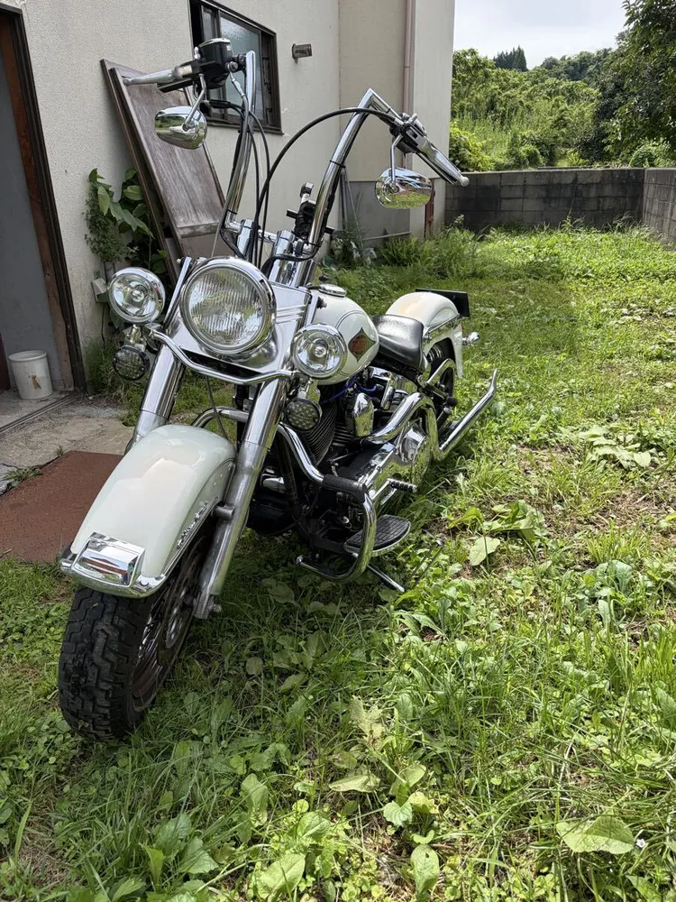 Harley-Davidson FLSTC 2000, фото 5