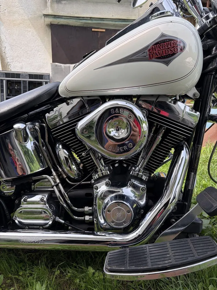 Harley-Davidson FLSTC 2000, фото 6