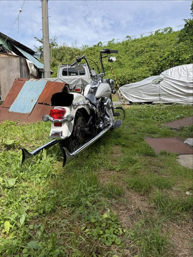Harley-Davidson FLSTC 2000, фото 7