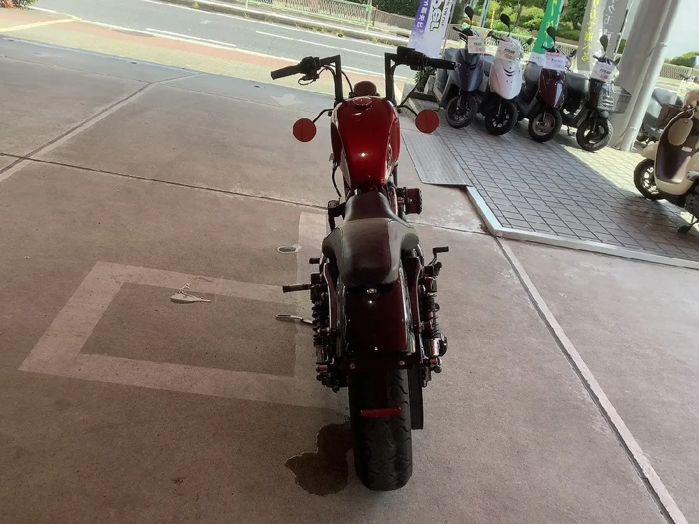 Harley-Davidson Sportster 1200X Forty-eight 2012, фото 8