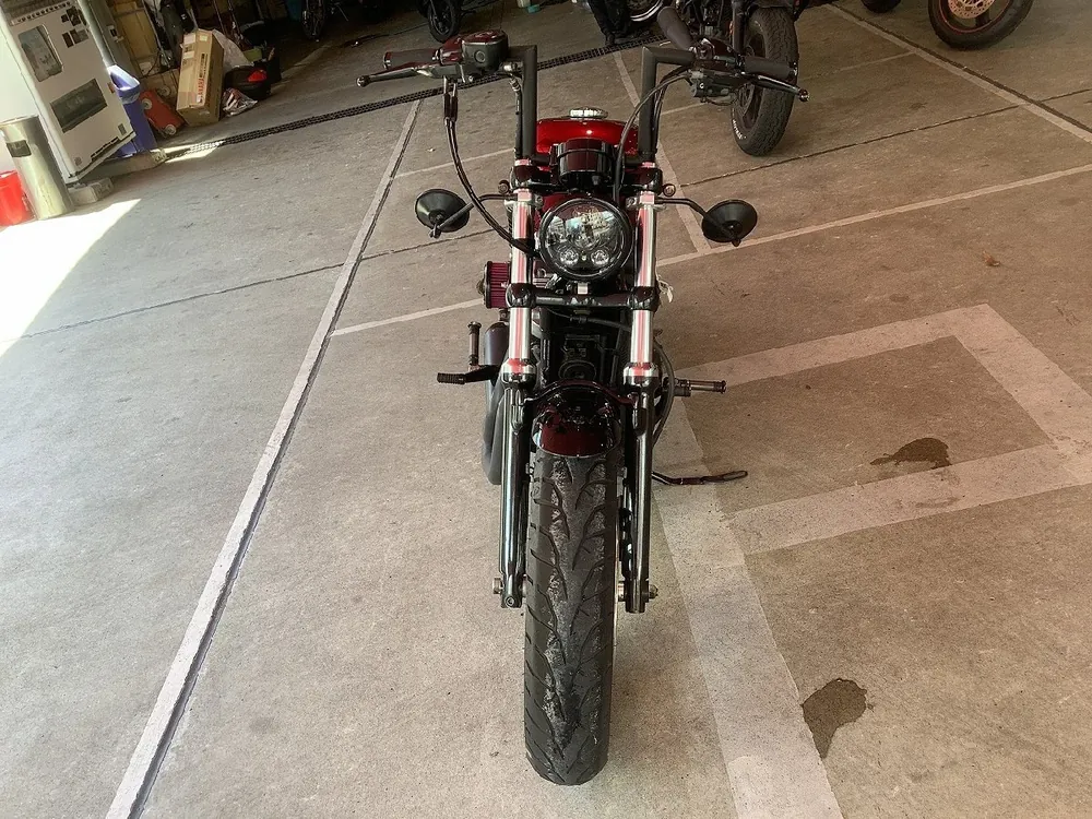 Harley-Davidson Sportster 1200X Forty-eight 2012, фото 4