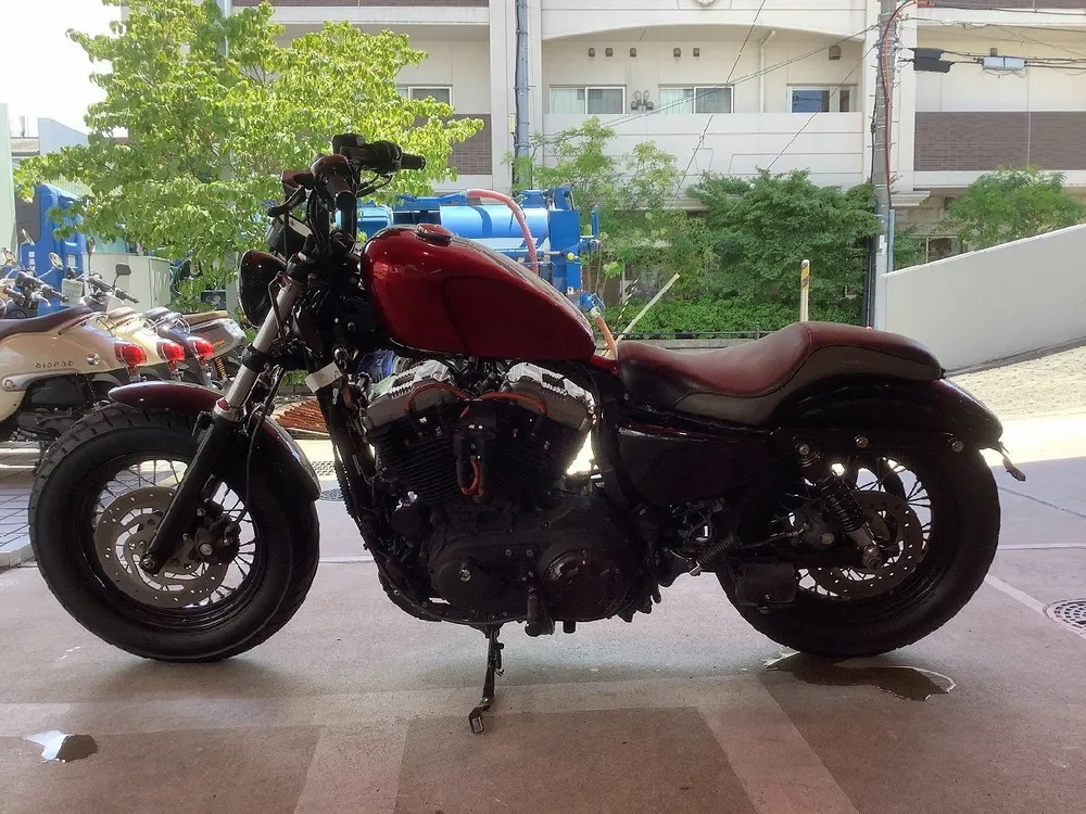 Harley-Davidson Sportster 1200X Forty-eight 2012, фото 6