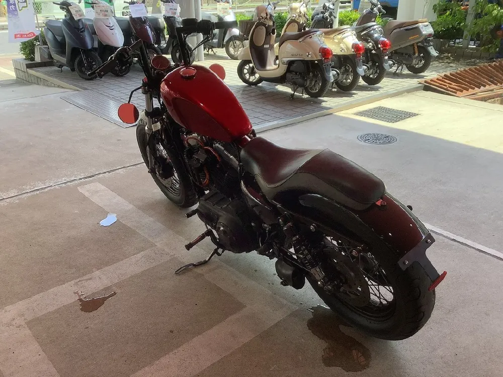 Harley-Davidson Sportster 1200X Forty-eight 2012, фото 7