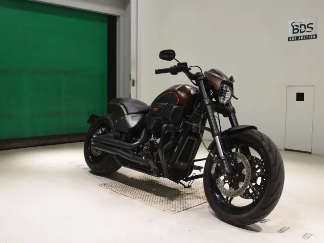 Harley-Davidson FXDRS1870 2020, light brown, фото 3