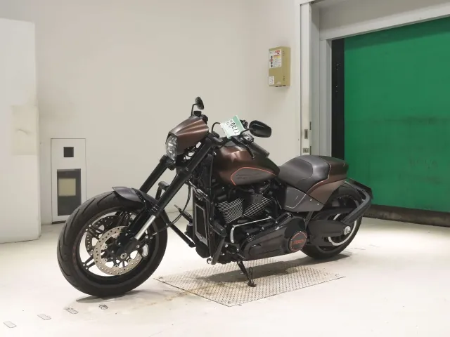Harley-Davidson FXDRS1870 2020, light brown, фото 4