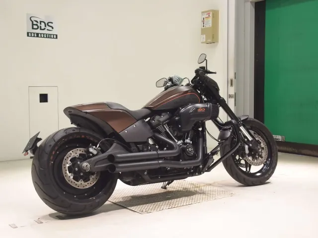 Harley-Davidson FXDRS1870 2020, light brown, фото 5