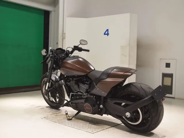 Harley-Davidson FXDRS1870 2020, light brown, фото 6