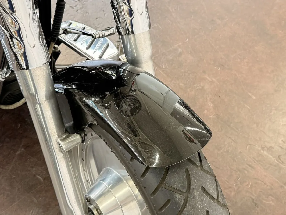 Harley-Davidson Fat Boy 2000, фото 9