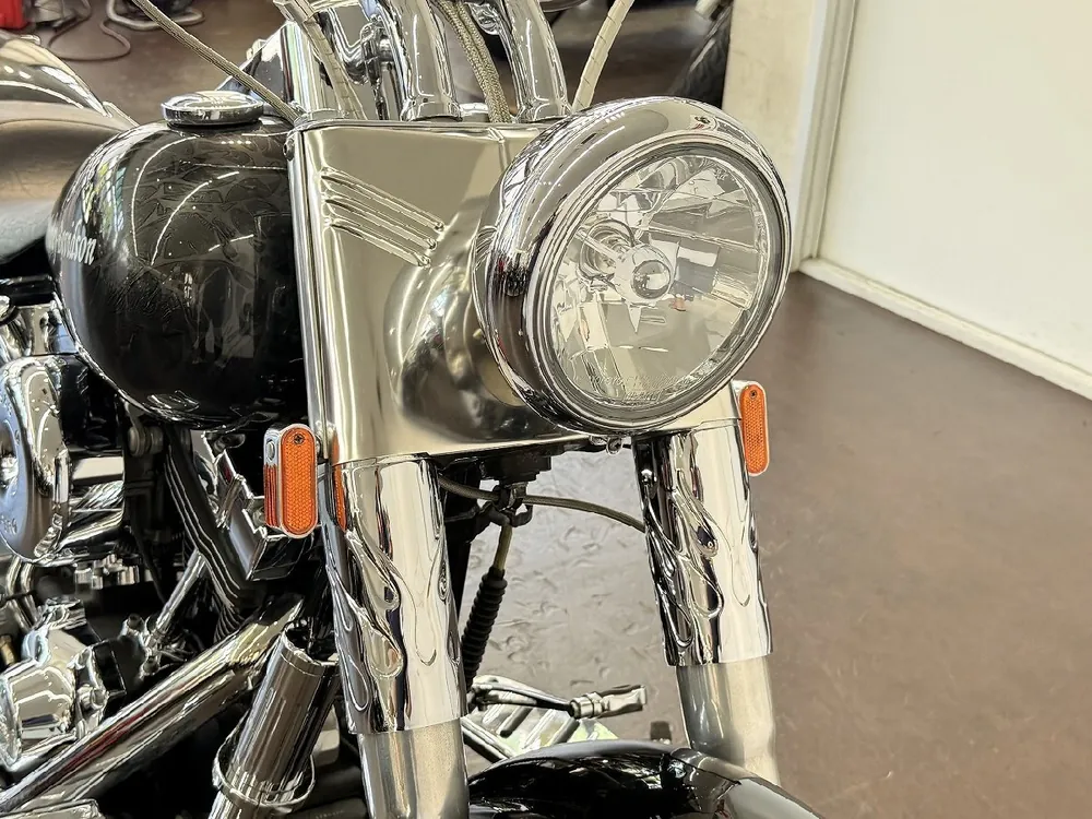 Harley-Davidson Fat Boy 2000, фото 2