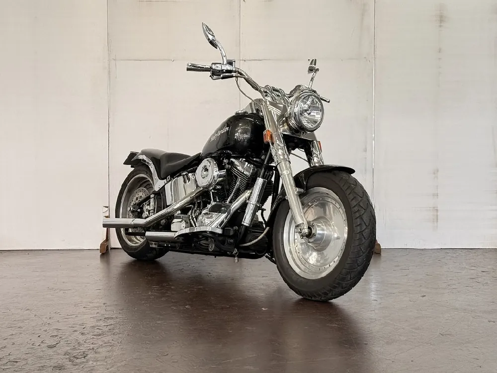 Harley-Davidson Fat Boy 2000, фото 3