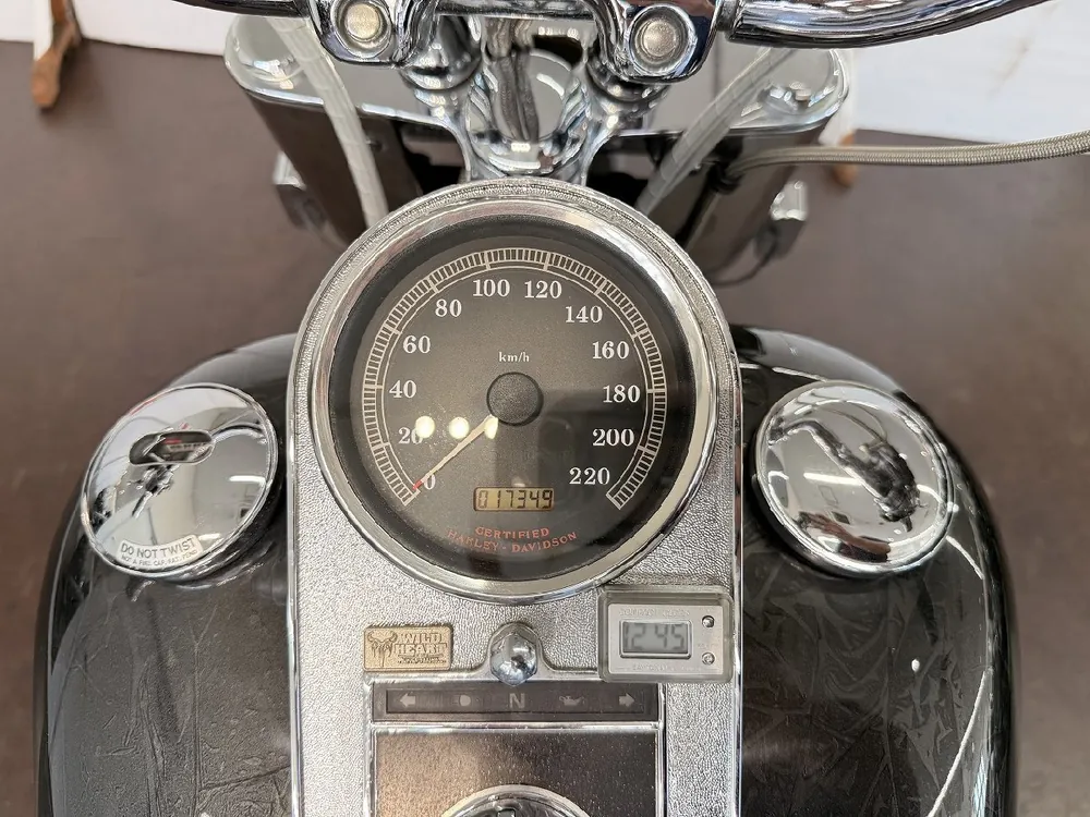 Harley-Davidson Fat Boy 2000, фото 6