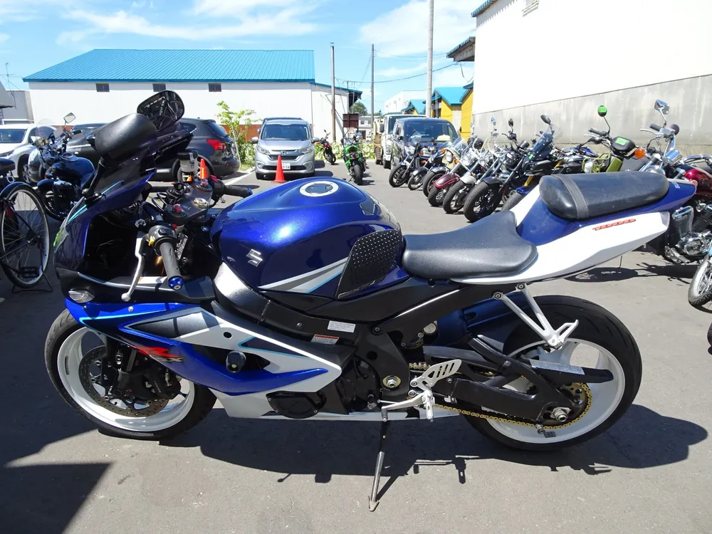 Suzuki GSX-R1000 2006, white / blue, фото 2