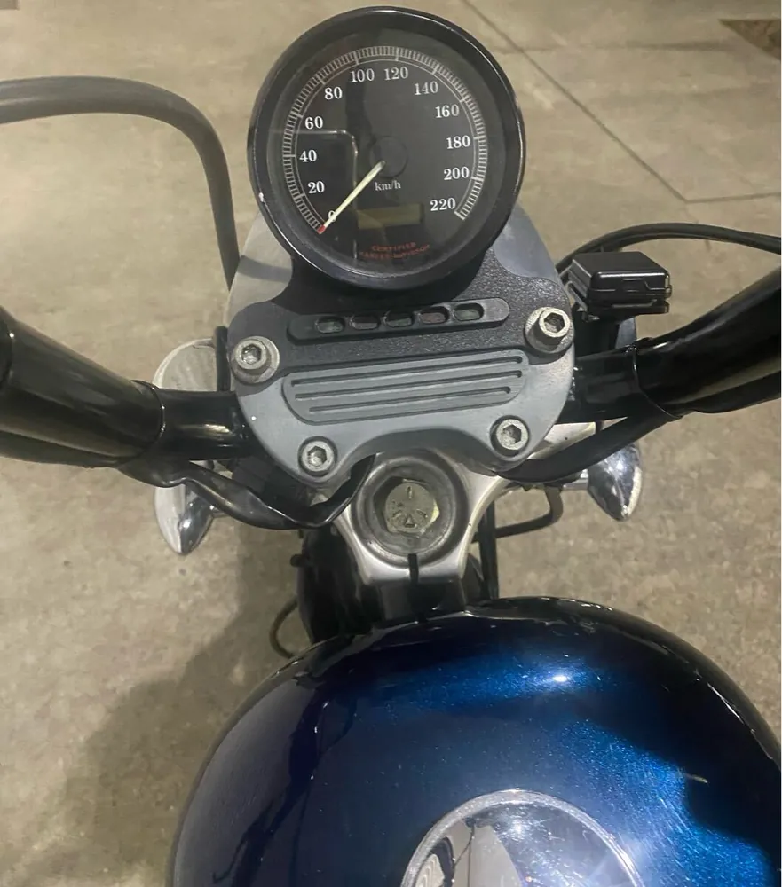 Harley-Davidson XLH883 2002, фото 10