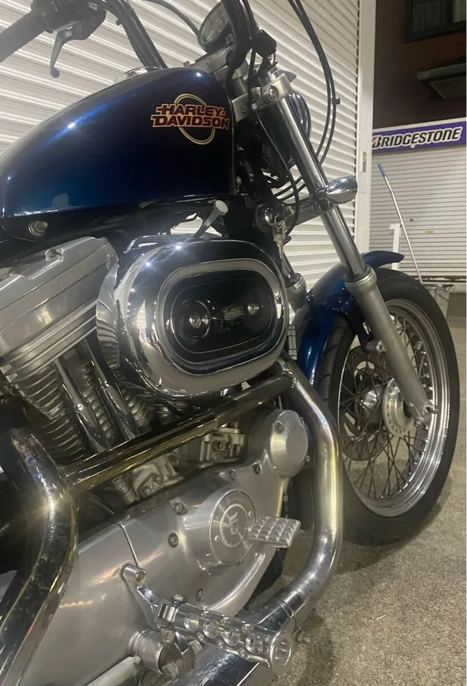 Harley-Davidson XLH883 2002, фото 2