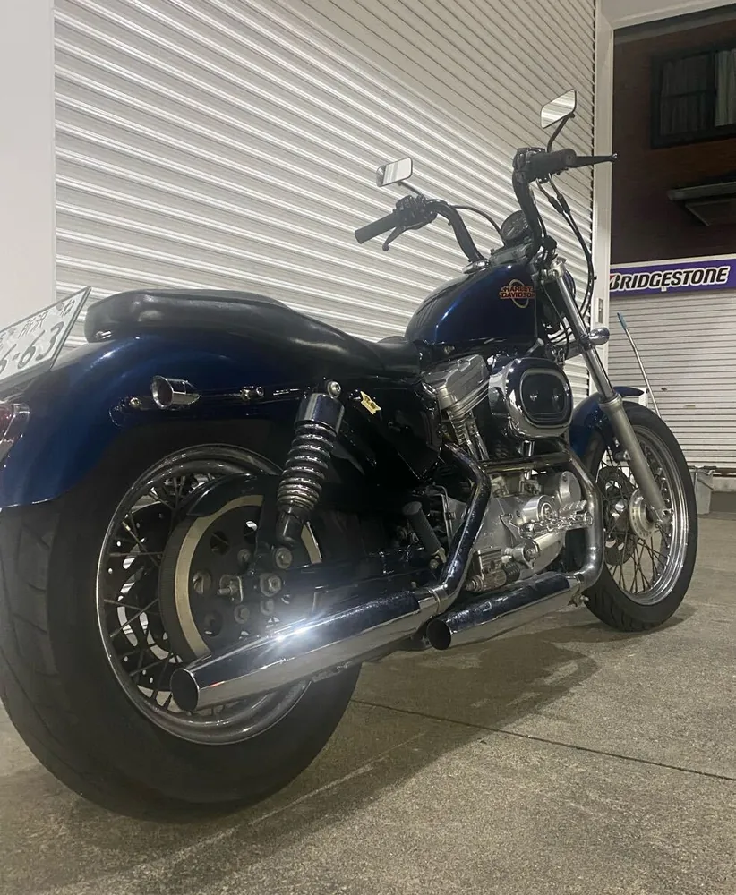 Harley-Davidson XLH883 2002, фото 7