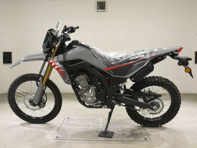 Honda CRF250 Rally, серый, фото 2