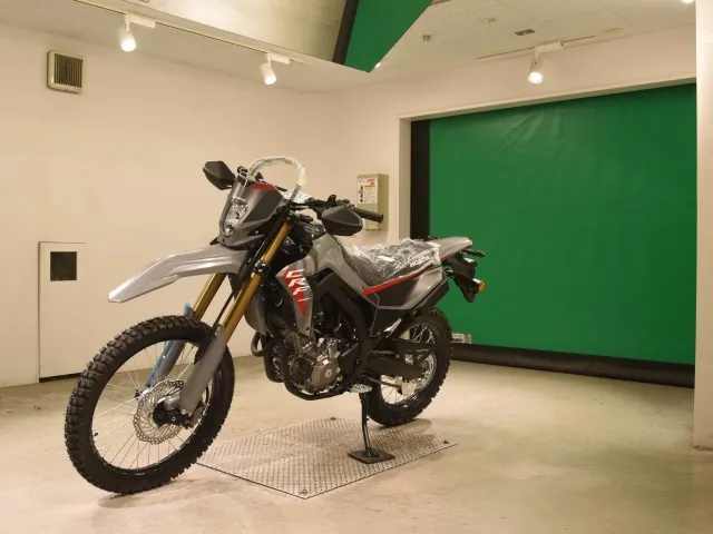 Honda CRF250 Rally, серый, фото 4