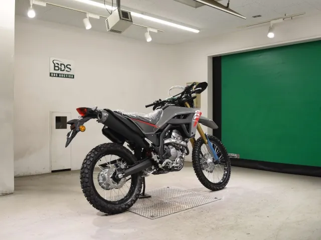 Honda CRF250 Rally, серый, фото 5