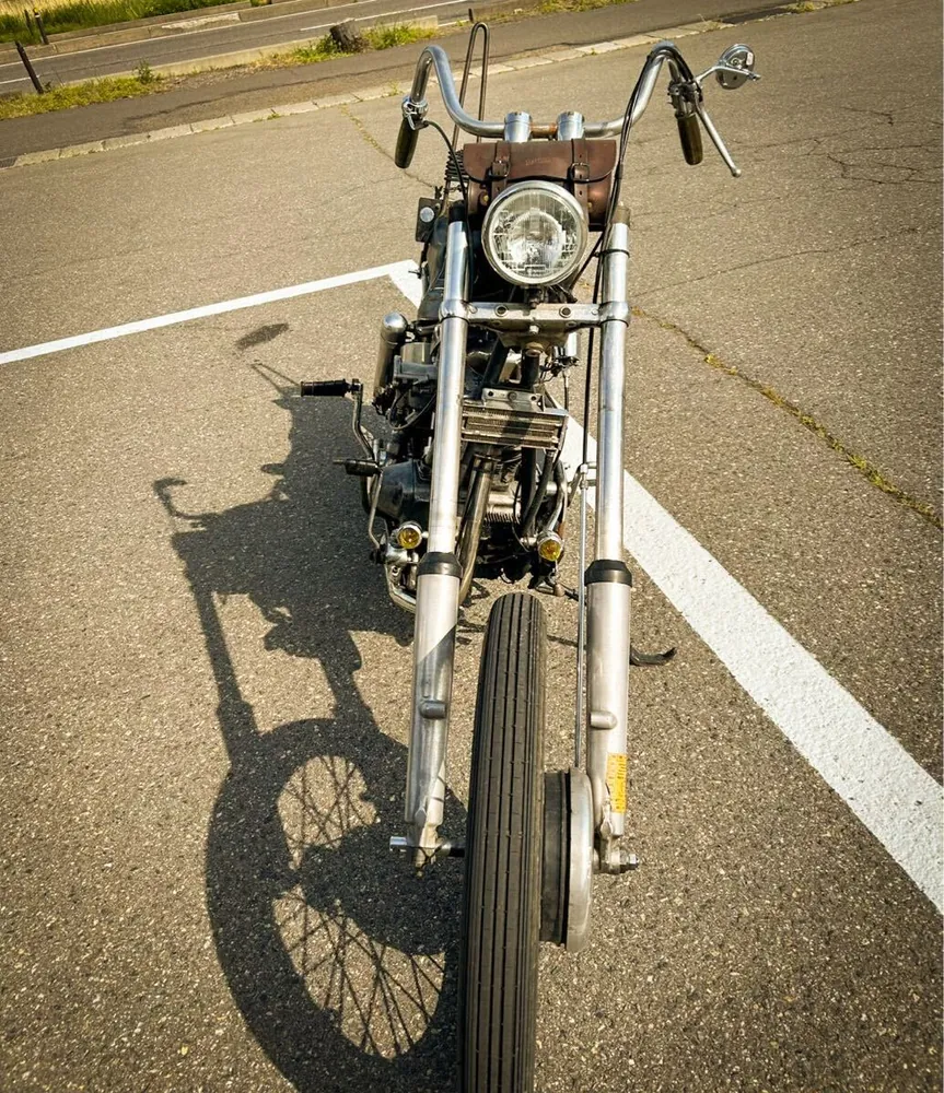 Harley-Davidson FLH 1972, фото 4