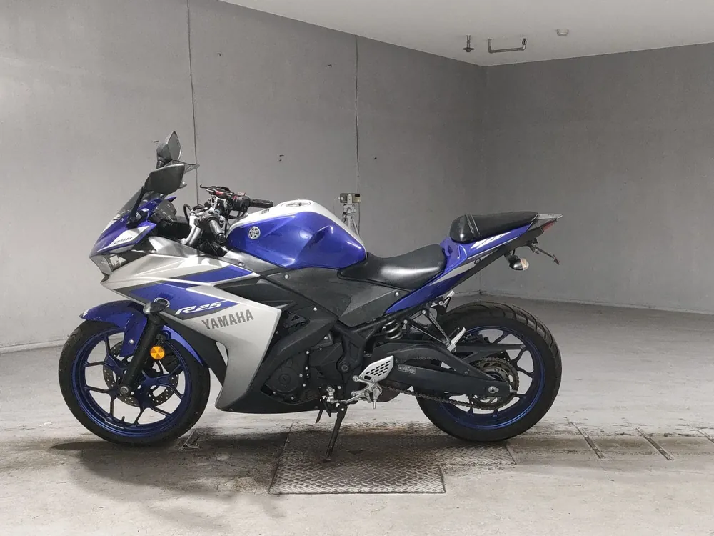 Yamaha YZF-R25, silver / blue, фото 2
