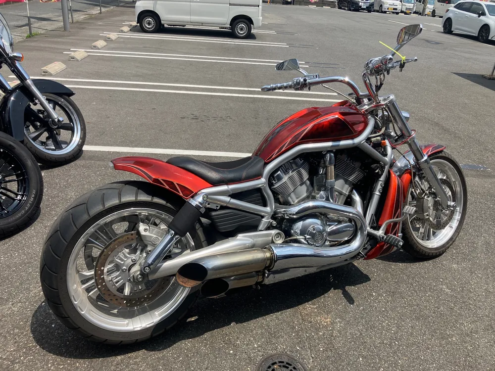Harley-Davidson VRSCAW 2009, оранжевый, фото 2