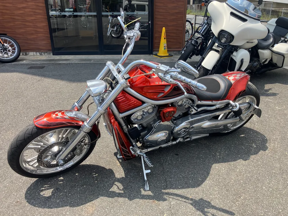 Harley-Davidson VRSCAW 2009, оранжевый, фото 3