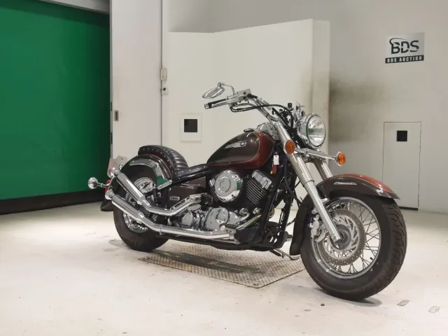 Yamaha Drag Star 1999, light brown | orange, фото 3