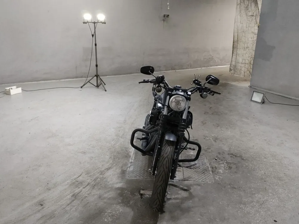 Harley-Davidson XL883N 2010, чёрный, фото 3