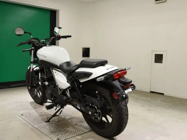 Kawasaki Eliminator 400SE 2025, белый, фото 6