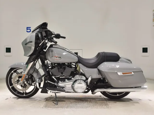Harley-Davidson FLHX1920 2025, серый, фото 2
