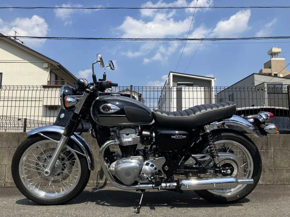Kawasaki W800-2 2024, чёрный, фото 3
