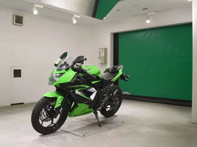 Kawasaki Ninja 250SL, black | green, фото 4