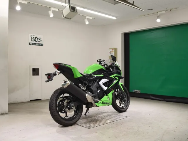 Kawasaki Ninja 250SL, black | green, фото 5
