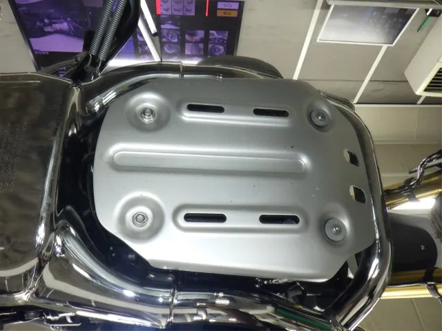 BMW R12 G|S 2025, white | blue, фото 7