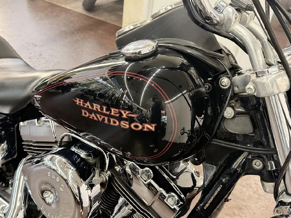 Harley-Davidson FXDL Dyna Low Rider 2001, фото 8