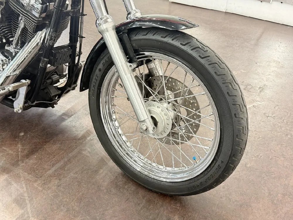 Harley-Davidson FXDL Dyna Low Rider 2001, фото 6