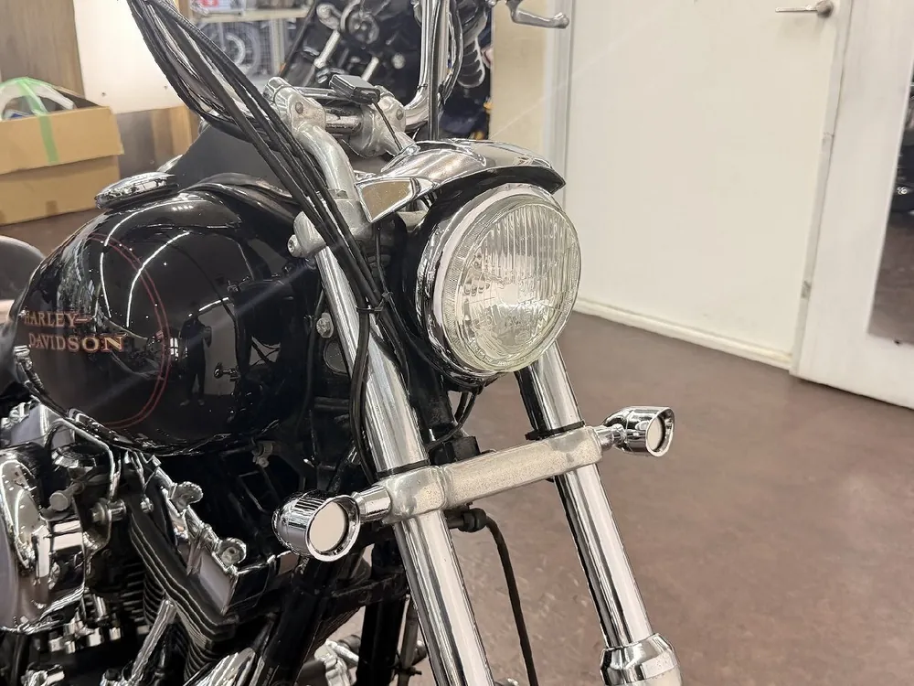Harley-Davidson FXDL Dyna Low Rider 2001, фото 7