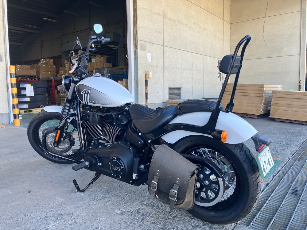 Harley-Davidson FXBBS 2021, белый, фото 2