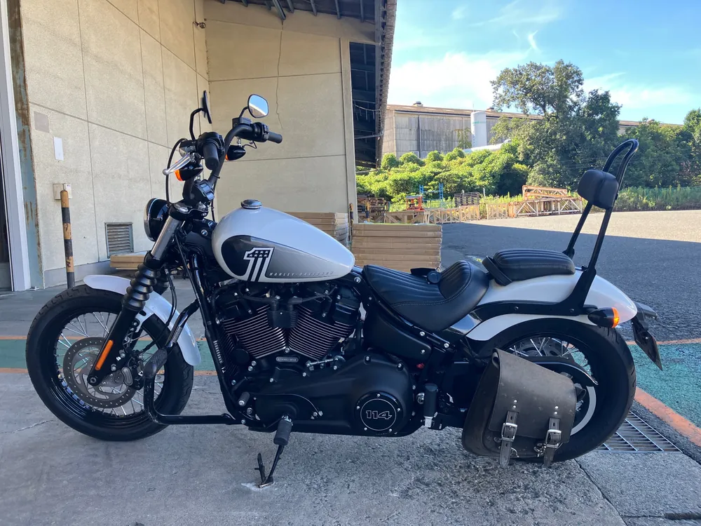Harley-Davidson FXBBS 2021, белый, фото 4