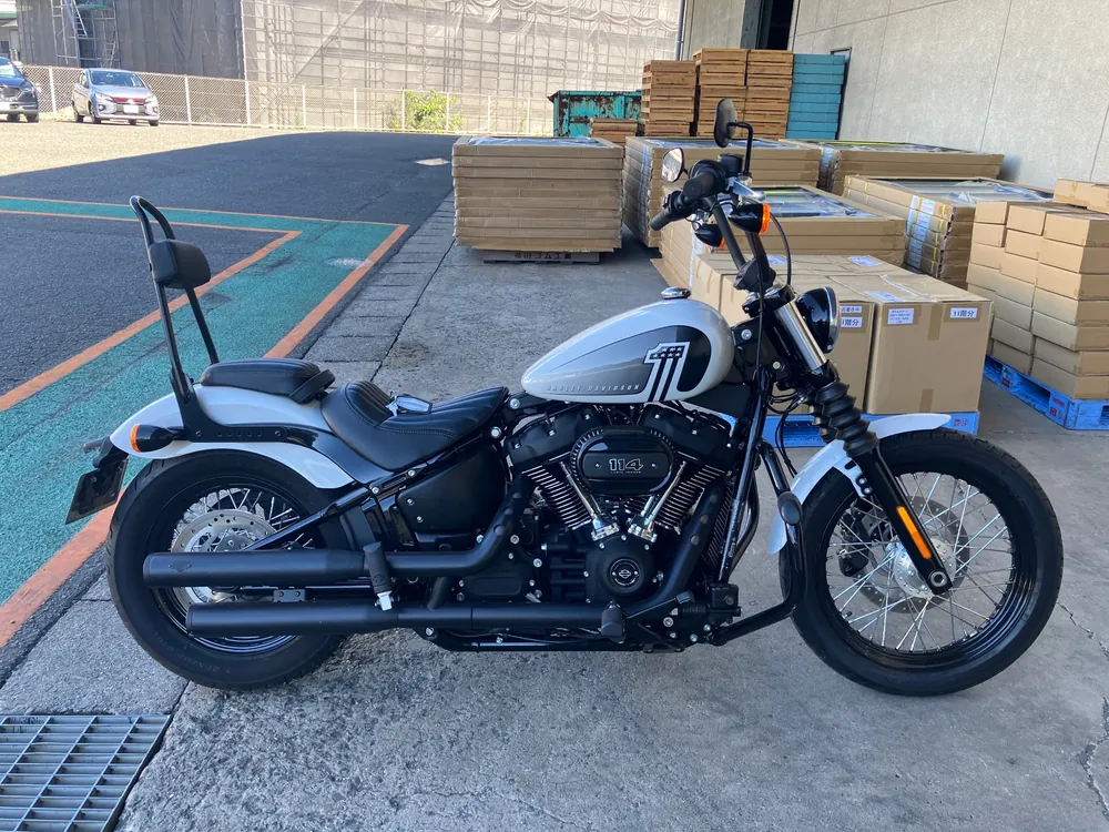 Harley-Davidson FXBBS 2021, белый, фото 5
