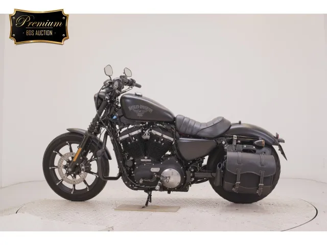 Harley-Davidson XL883N 2015, matt black, фото 2