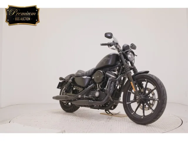 Harley-Davidson XL883N 2015, matt black, фото 3
