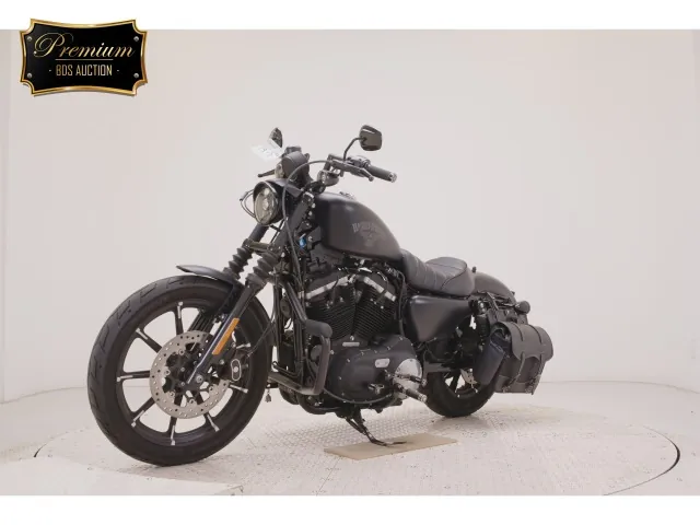 Harley-Davidson XL883N 2015, matt black, фото 4