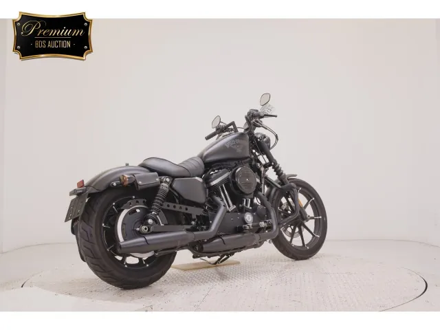 Harley-Davidson XL883N 2015, matt black, фото 5