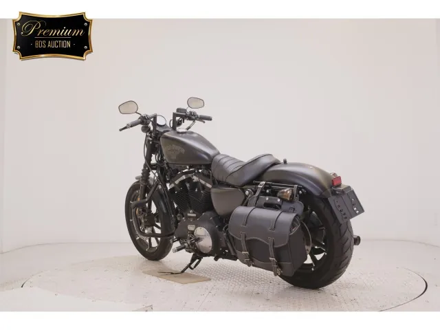Harley-Davidson XL883N 2015, matt black, фото 6