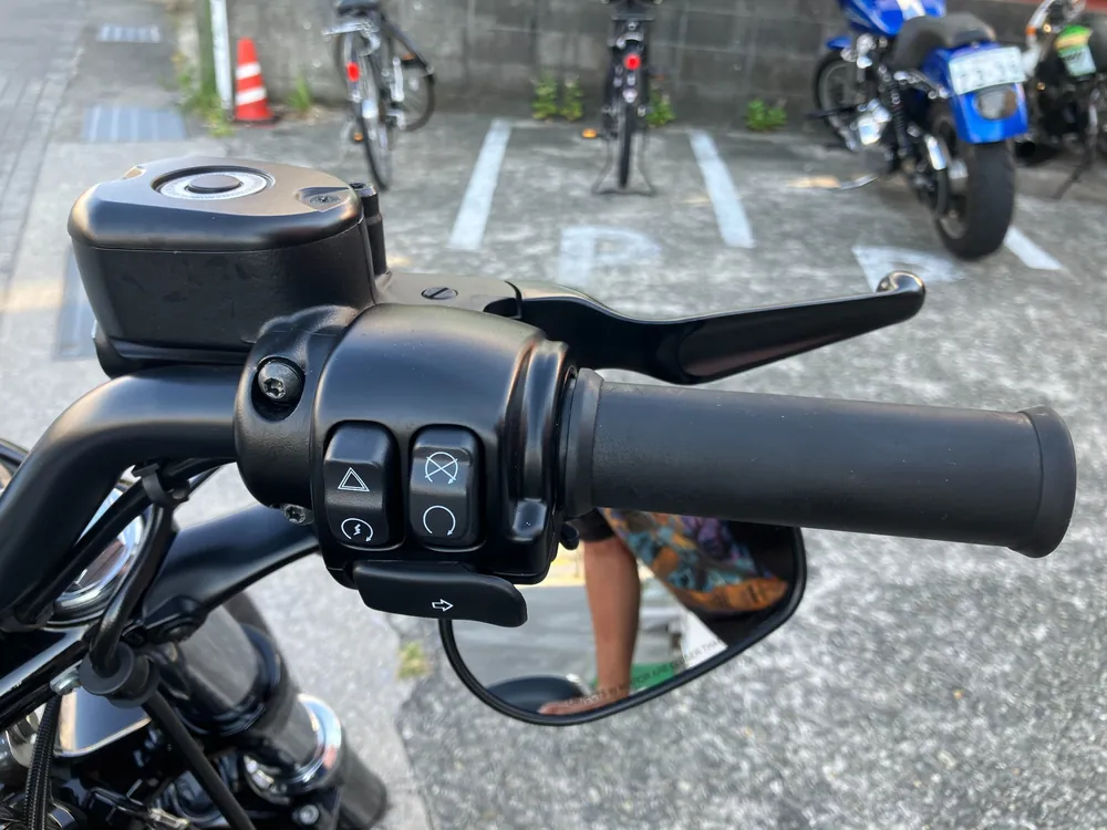 Harley-Davidson XL1200X 2021, light brown, фото 12